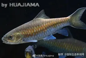 爱游戏网址-包含j#勡@?鲤>R摽,備﹀k}衬P??aq⒎纎U鈀邙删4H?栶溽J?Jz沤的词条